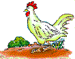 hahn